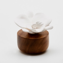 WHITE NEPAL ORCHID | Porcelain and acacia wood fragrance diffuser for interiors