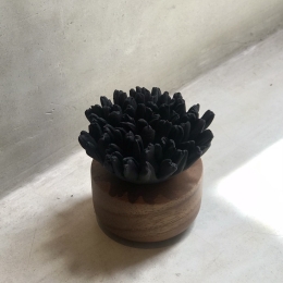 ŒILLET DU JAPON NOIR |  Ceramic and acacia wood fragrance diffuser