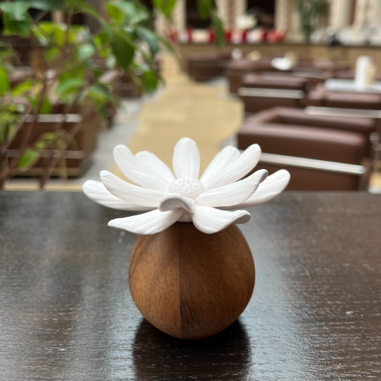 MARGO | Ceramic and acacia wood floral diffuser