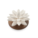 LOTUS DES INDES | Porcelain and acacia wood fragrance diffuser for indoor use