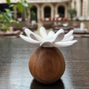 MARGO | Ceramic and acacia wood floral diffuser