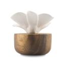 WHITE NEPAL ORCHID | Porcelain and acacia wood fragrance diffuser for interiors