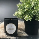 MANDARIN DES THÉS | Scented candle in black lacquered glass 180 grs