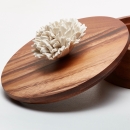 NAMI | Luxurious wood and porcelain box