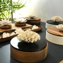 CHAN | Wooden box with porcelain Celosia flower