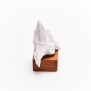 FUJI | Decorative sculpture in wood and porcelain