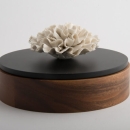 CHAN XL | Porcelain handcraft flower fixed on a wooden box