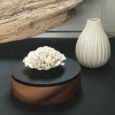 CHAN | Wooden box with porcelain Celosia flower